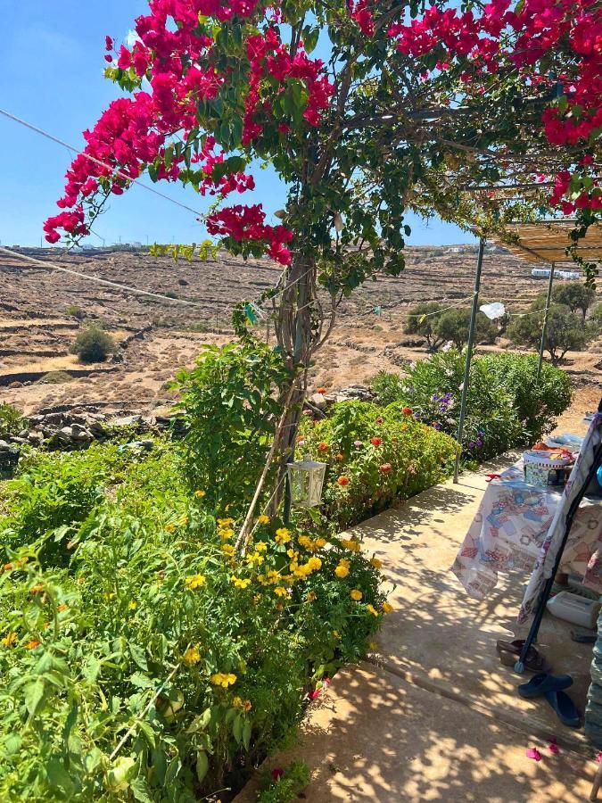 Lemon Houses - Faros, Sifnos Екстериор снимка